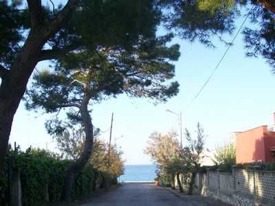 Alla scoperta di Cozze
